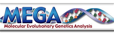 mega molecular evolutionary genetics analysis|evolution software download.